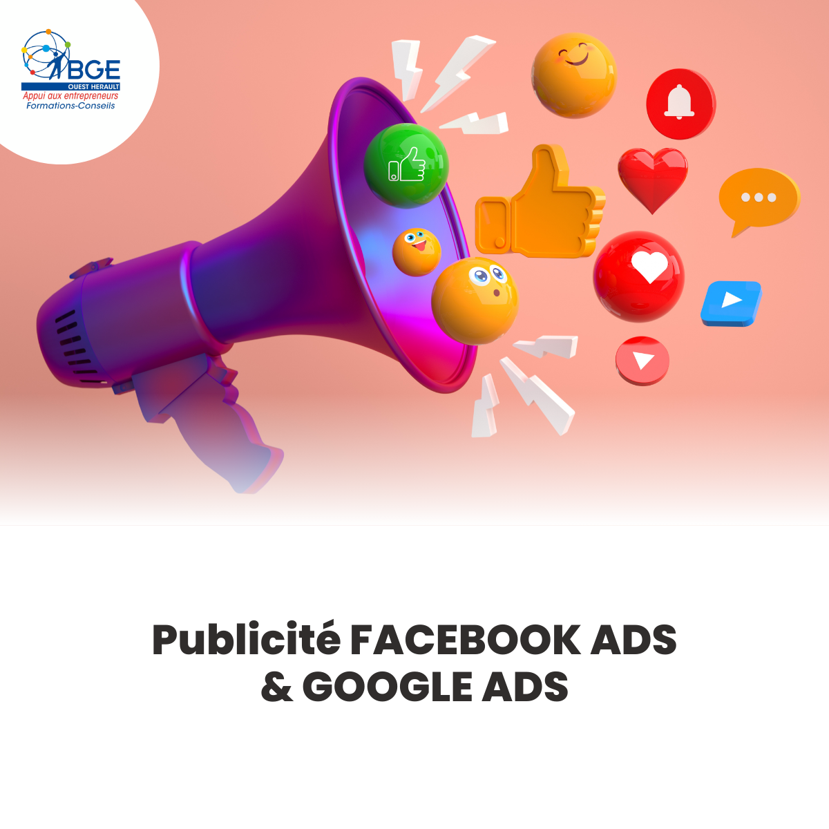 FACEBOOK ADS & GOOGLE ADS