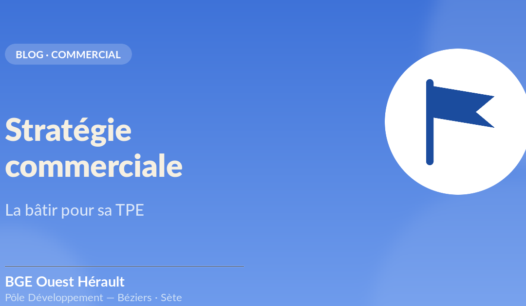 Définir une stratégie commerciale efficace pour sa TPE